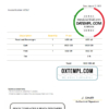 editable template, USA Grand Hotel invoice template in Word and PDF format, fully editable
