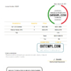 editable template, USA Mean Tic invoice template in Word and PDF format, fully editable