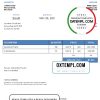 editable template, USA Miller Optics invoice template in Word and PDF format, fully editable