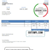 editable template, USA Silver Corp. invoice template in Word and PDF format, fully editable