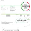 editable template, USA Skyler Enterprises invoice template in Word and PDF format, fully editable