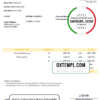 editable template, USA Soft Vision Inc. invoice template in Word and PDF format, fully editable