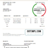 editable template, USA Tango Enterprises invoice template in Word and PDF format, fully editable