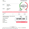 editable template, USA Techno Liberal Pvt Ltd invoice template in Word and PDF format, fully editable