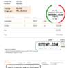 editable template, USA The Elm Premier invoice template in Word and PDF format, fully editable
