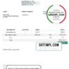 editable template, USA Through Harry's Lens invoice template in Word and PDF format, fully editable