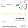 editable template, USA Trace Travel Services invoice template in Word and PDF format, fully editable