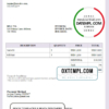 editable template, USA Travel Co. invoice template in Word and PDF format, fully editable
