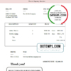 editable template, USA Travelvibe Company invoice template in Word and PDF format, fully editable