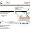 editable template, USA Pennsylvania Duquesne Light Company (DLC) utility bill template in Word and PDF format