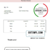 editable template, USA Cane Furniture Shop invoice template in Word and PDF format, fully editable