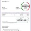editable template, USA Care Hospital invoice template in Word and PDF format, fully editable