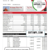 editable template, USA California Patelco Credit Union bank statement template in Excel and PDF format