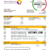 editable template, Algeria Banque de Developpement Local (BDL) bank account statement template in Word and PDF format