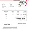 editable template, USA Buzz Shipping invoice template in Word and PDF format, fully editable
