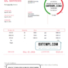 editable template, USA DL Services invoice template in Word and PDF format, fully editable
