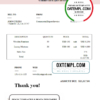 editable template, USA Fayair Goods invoice template in Word and PDF format, fully editable
