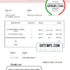 editable template, USA GetGoing Travel Services invoice template in Word and PDF format, fully editable