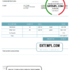editable template, USA Lilac Services invoice template in Word and PDF format, fully editable