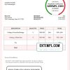 editable template, USA Opi Technologies invoice template in Word and PDF format, fully editable