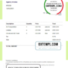 editable template, USA Pack Your Bags Consulting invoice template in Word and PDF format, fully editable