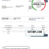 editable template, USA Perfect Pro Paintings Pvt. Ltd. invoice template in Word and PDF format, fully editable