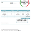 editable template, USA Rainbow Health Care invoice template in Word and PDF format, fully editable