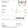 editable template, USA Roof Design invoice template in Word and PDF format, fully editable