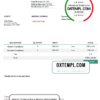 editable template, USA Sterneld Consultancy invoice template in Word and PDF format, fully editable