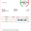 editable template, USA Trevor University invoice template in Word and PDF format, fully editable