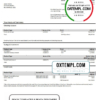 editable template, France Citibank bank statement template in Word and PDF format