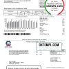 editable template, USA Arizona Chandler Utilities bill template in Word and PDF format