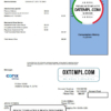 editable template, USA Corix Utilities bill template in Word and PDF format