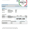editable template, USA First International Bank & Trust bank statement template in Word and PDF format