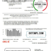 editable template, USA Oklahoma OGE Energy utility bill template in Word and PDF