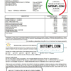 editable template, Singapore KK Women's and Children's Hospital tax invoice template in .doc and .pdf format