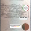 editable template, USA Montana state birth certificate template in PSD format, fully editable