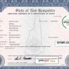 editable template, USA New Hampshire state birth certificate template in PSD format, fully editable