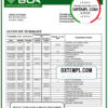 editable template, Angola Banco Comercial Angolano bank statement template in Word and PDF format