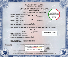 illinois marriage licenses