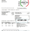 editable template, USA Capital One bank statement template in Word and PDF format, version 4