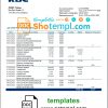 editable template, Belgium KBC bank statement template in Word and PDF format