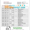 editable template, Bhutan Druk PNB bank statement template in Word and PDF format