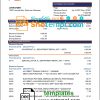 editable template, Botswana Savings Bank statement template in Word and PDF format