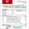 editable template, Brunei CIMB proof of addres statement template in Word and PDF format