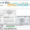 editable template, Chile Banco de Chile bank statement template in Word and PDF format
