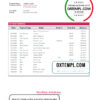 editable template, Georgia Basis Bank statement template in Word and PDF format