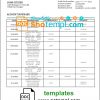 editable template, Hungary OTP Bank statement template in Word and PDF format