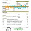 editable template, Iraq Rasheed proof of address bank statement in Word and PDF format