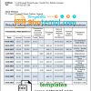 editable template, Ireland Ulster proof of address bank statement in Word and PDF format
